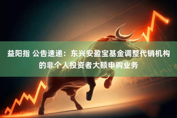 益阳指 公告速递：东兴安盈宝基金调整代销机构的非个人投资者大额申购业务