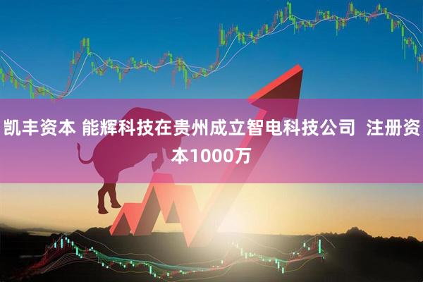 凯丰资本 能辉科技在贵州成立智电科技公司  注册资本1000万