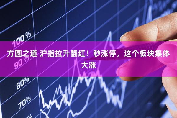 方圆之道 沪指拉升翻红！秒涨停，这个板块集体大涨