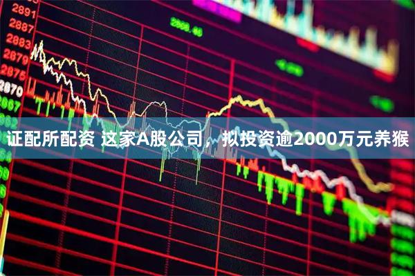 证配所配资 这家A股公司，拟投资逾2000万元养猴