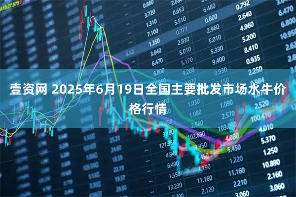 壹资网 2025年6月19日全国主要批发市场水牛价格行情