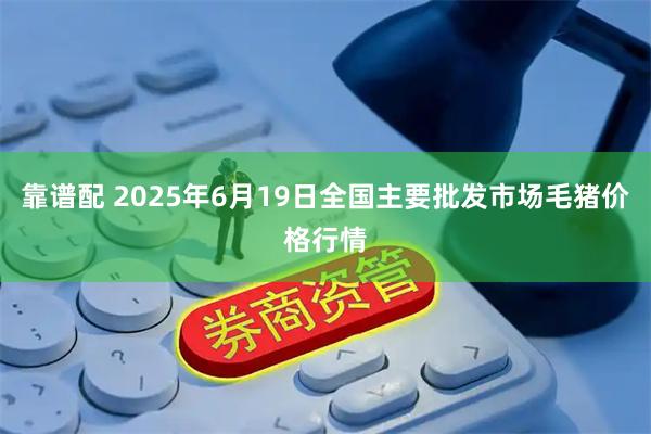 靠谱配 2025年6月19日全国主要批发市场毛猪价格行情