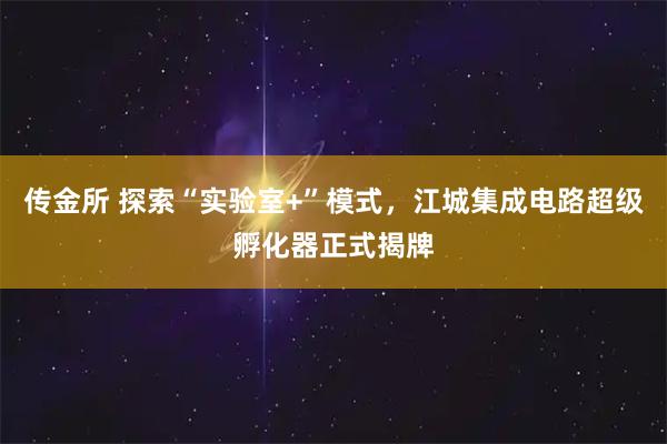 传金所 探索“实验室+”模式，江城集成电路超级孵化器正式揭牌