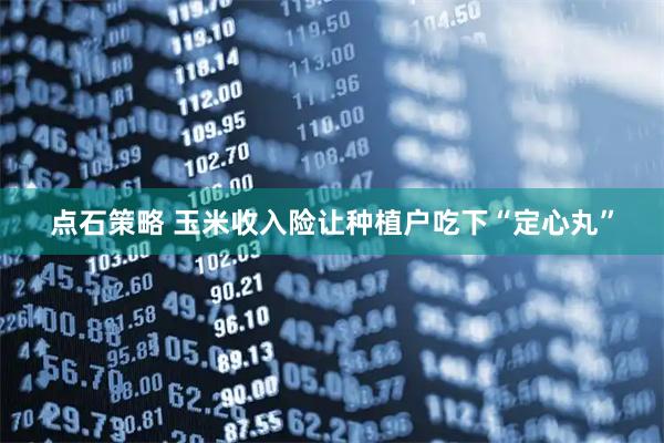 点石策略 玉米收入险让种植户吃下“定心丸”