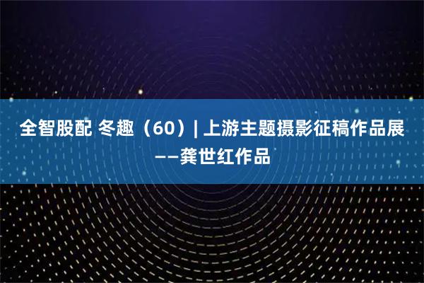 全智股配 冬趣（60）| 上游主题摄影征稿作品展——龚世红作品