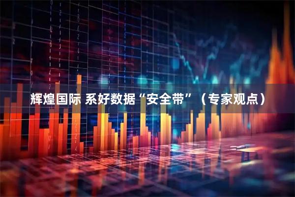 辉煌国际 系好数据“安全带”（专家观点）