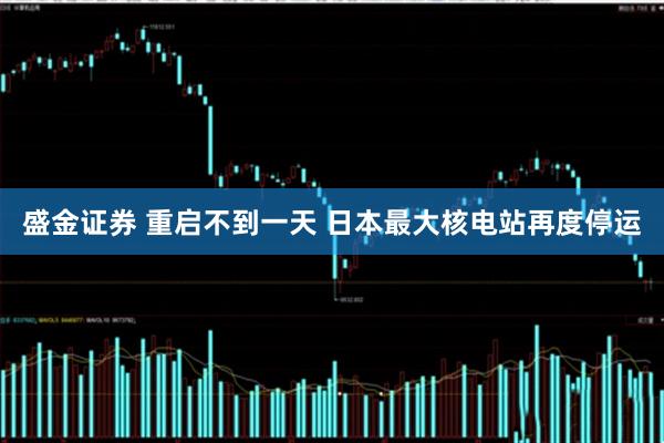 盛金证券 重启不到一天 日本最大核电站再度停运