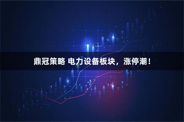 鼎冠策略 电力设备板块，涨停潮！