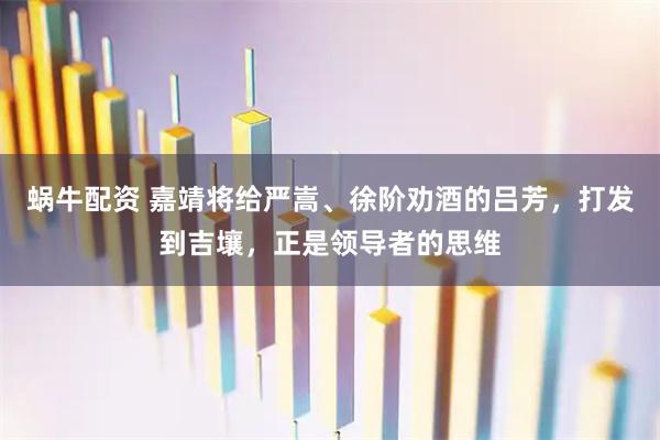蜗牛配资 嘉靖将给严嵩、徐阶劝酒的吕芳，打发到吉壤，正是领导者的思维