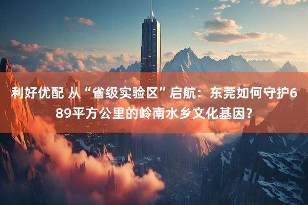 利好优配 从“省级实验区”启航：东莞如何守护689平方公里的岭南水乡文化基因？