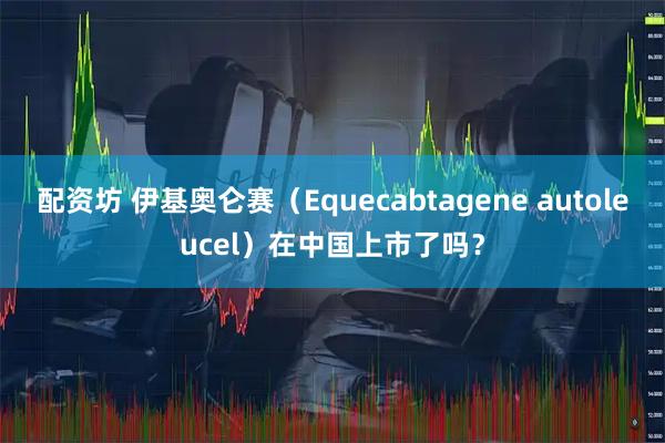 配资坊 伊基奥仑赛（Equecabtagene autoleucel）在中国上市了吗？
