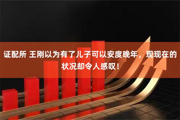 证配所 王刚以为有了儿子可以安度晚年，现现在的状况却令人感叹！