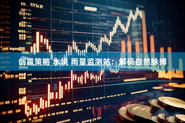 创赢策略 水境 雨量监测站：解码自然脉搏